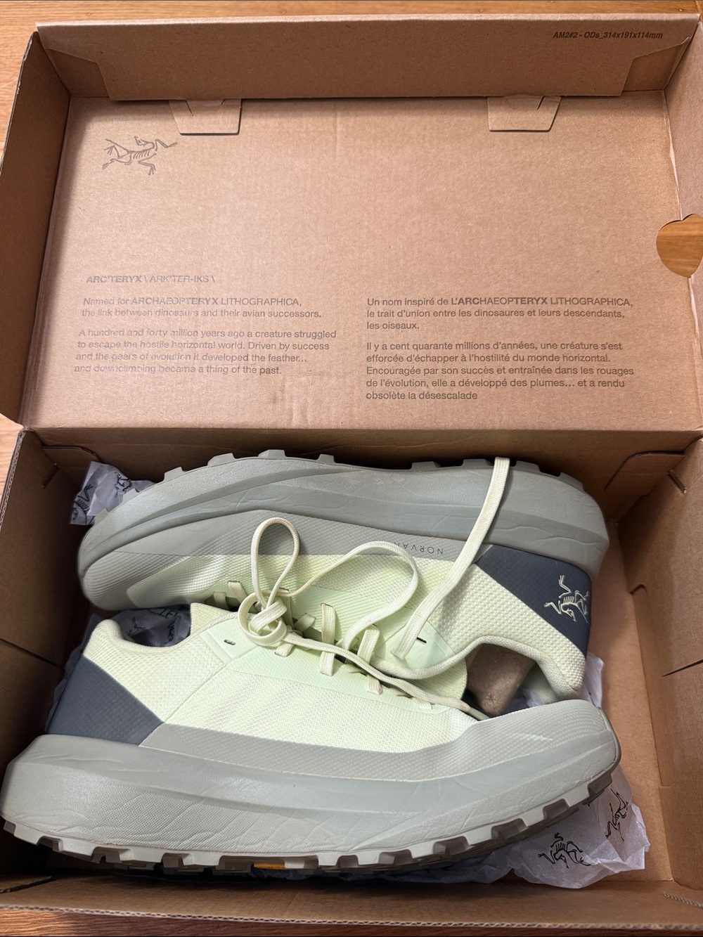 Arc'teryx Norvan LD 4 Women Trail Sneakers in Sincha / habitat